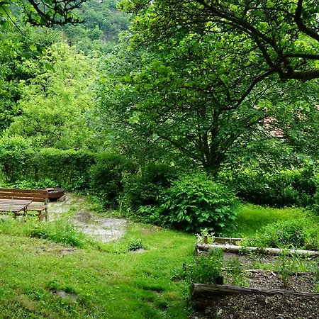 Apartmán Oben Im Selketal